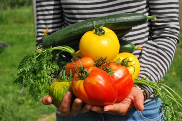 Vibrant Clean Produce